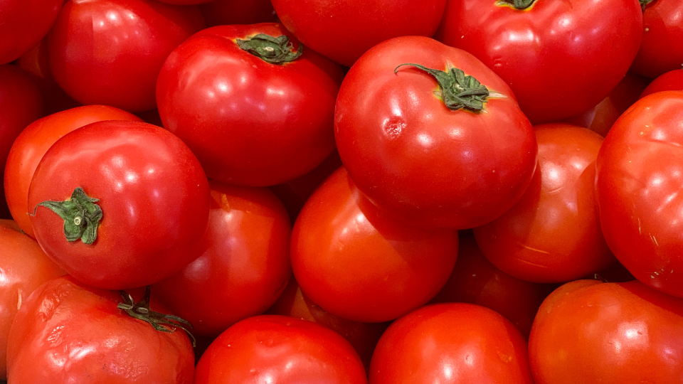 Fresh Tomatoes